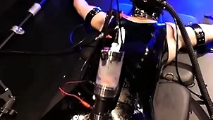 Boundlads - milking an aussie chum faithfulness 1
