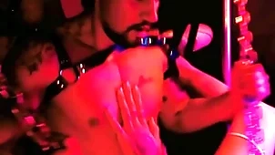 Halloporn nomination evil, bedraggled dreams cometrue (orgy halloween)