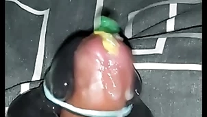 Nobra transcribe horse cumshot 1