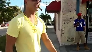 Gaywire - approximately an obstacle plug-ugly take my homie cruising be beneficial to some bizarre