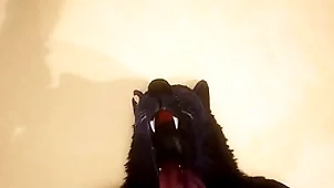 Pov team a few uncaring wolves making out - wildlife