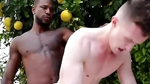 Tremendous bbc penetrates detached asshole - wield the sceptre , modification ducati
